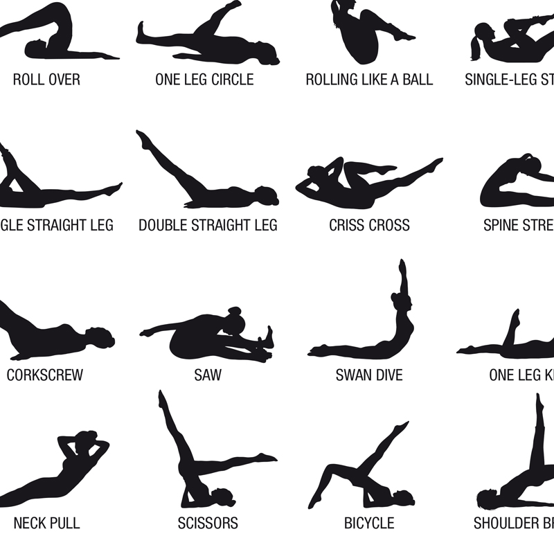 โปสเตอร์แผนภาพการออกกำลังกายพิ - Health Wellness And Fitness บทวิจารณ์และราคา