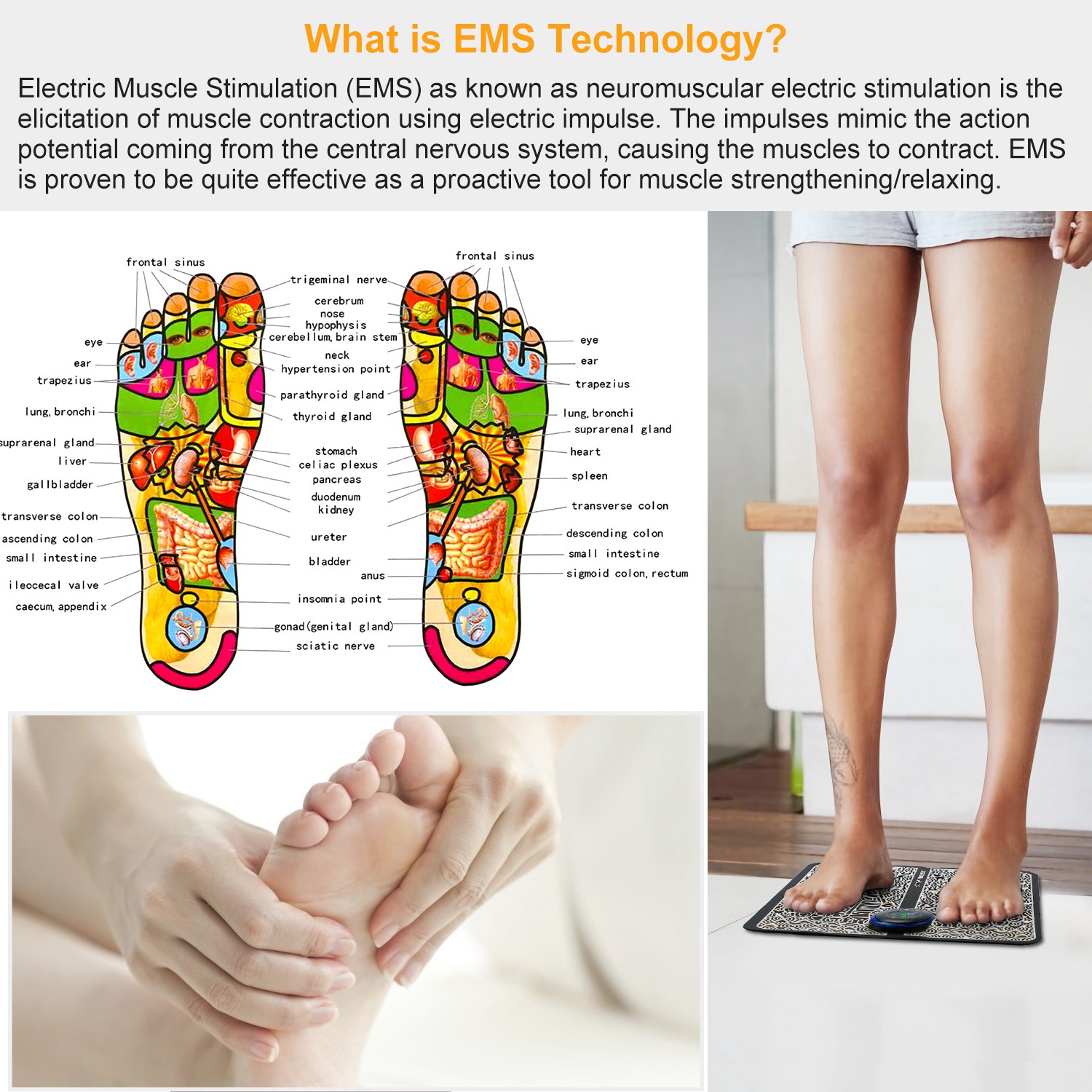 เครื่องนวดเท้า, เครื่องนวดฝ่าเ - Ems Foot Massager บทวิจารณ์และราคา